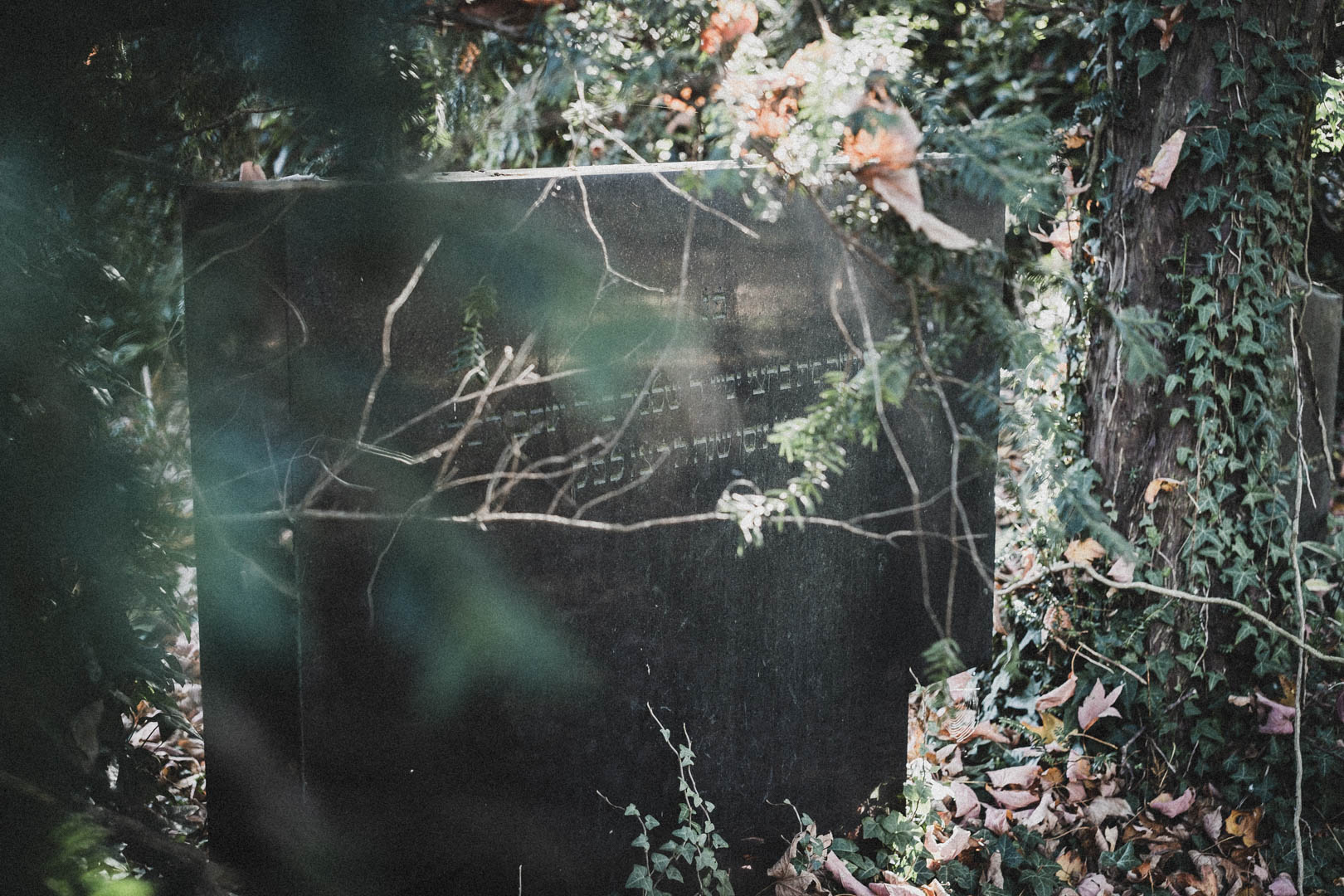 Schortens-Heidmühle, Jüdischer Friedhof